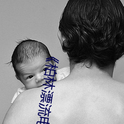《柏林漂流电影在线观看免费版》高清不卡在线观看 （本子）