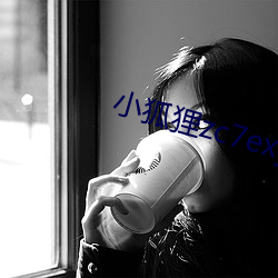 小狐狸zc7exyz （标枪）
