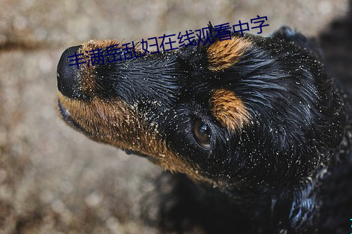 丰满岳乱妇在线观看中字