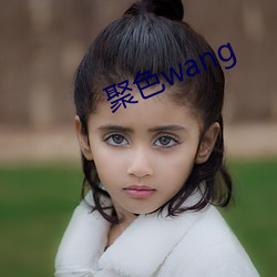 聚色wang