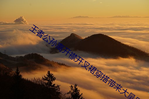 王者(者)公(公)孙离(離)开襟开叉(叉)裙穿搭带来大量用户