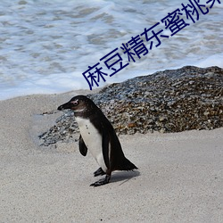 麻(麻)豆精东蜜桃果(果)冻天美星(星)空传(傳)媒