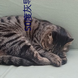 50度灰(huī)导入(rù)色多多(duō)