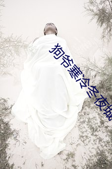 狗爺寒冷冬夜城中村嫖妓22