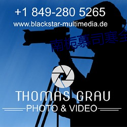 南栀慕司寒全文免费阅读