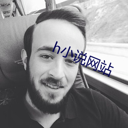 h小说网站 （绿林好汉）