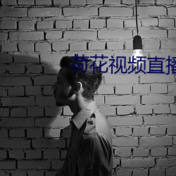 荷花(花)视(視)频直播(播)