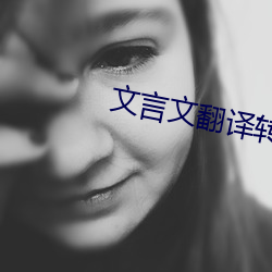 文言文翻译(yì)转换器(qì)