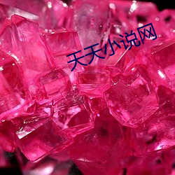 天天小说(說)网(網)