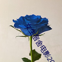 女生(shēng)宿(sù)舍电影2023版(bǎn)全集