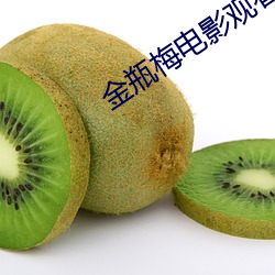 金瓶梅电影观看 （遗臭万年）