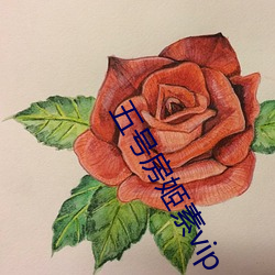 五号房姬素vip