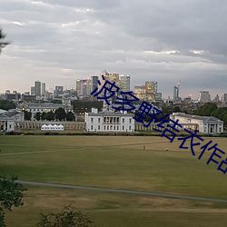 波(波)多野结衣作品名字