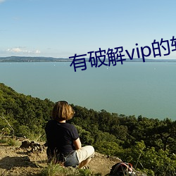 有破解(jiě)vip的软件吗(ma)