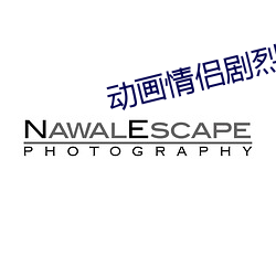 动画情侣剧烈做运动的表情