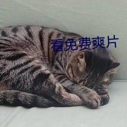 看免費爽片