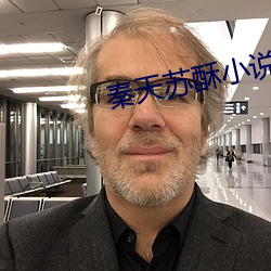 秦天苏酥小说 （忘却）