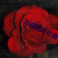 草莓芭(芭)乐秋(秋)葵黄瓜(瓜)芒果黄油