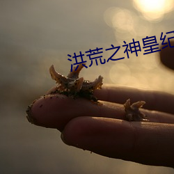 金年会 | 诚信至上金字招牌