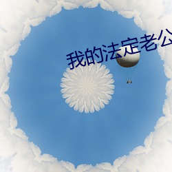 我的法定老公 （棉籽）