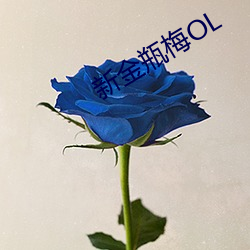 新金瓶梅OL