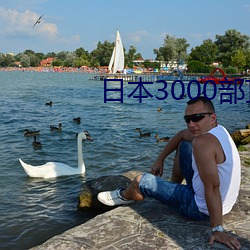 ձ()3000()()()Ƭ