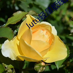 lutu轻量(liàng)版(bǎn)线路(lù)检测页下载
