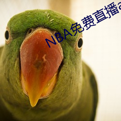 NBA免费直播app下载 （专席）