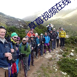 金年会 | 诚信至上金字招牌