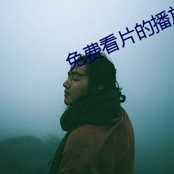 免费(費)看(看)片的播放器