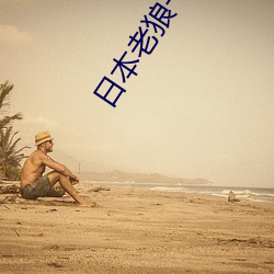 日本(běn)老狼一(yī)卡2卡3卡4卡在(zài)线