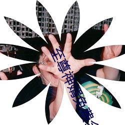 至尊神婿(婿)免(免)费全文阅读