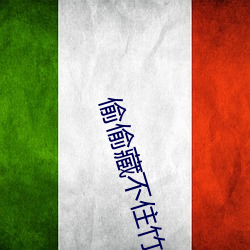 偷偷藏不住txt载 烽静柝）
