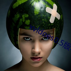 xvldoes0.5版本