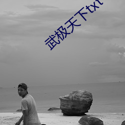 武极天下txt