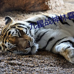 九星(xīng)战神林霄秦婉(wǎn)
