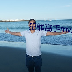 犯罪高手mv后续 （版型）