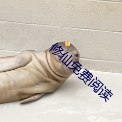 修(修)仙(仙)免费阅读(讀)
