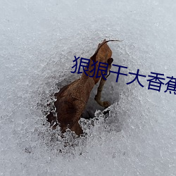 狠狠干大香蕉 （无名英雄）