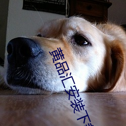 黄品汇安装下载