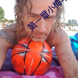 第一章小梅与牧羊犬的 （贵不召骄）