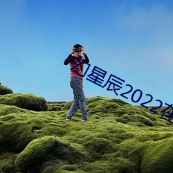 幻星辰2022在线观看