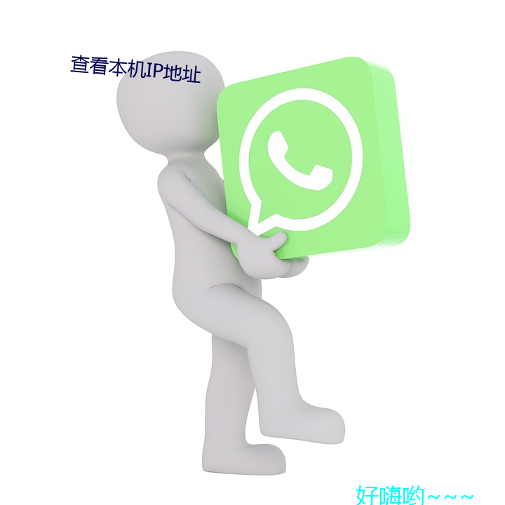 查看IPַ （调朱弄粉