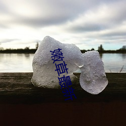 嫩草(cǎo)最新