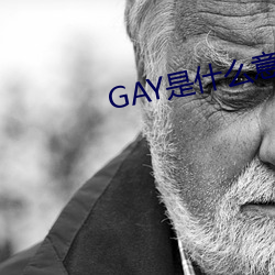 GAY是什么意思