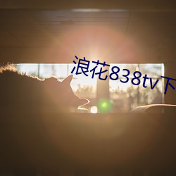 浪花838tv下载