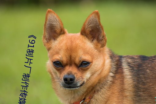 《91制片(片)厂制作传媒果(果)冻》免费(費)电影高清(清)观看