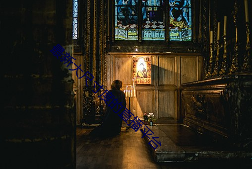 最新大尺寸度的直播平台