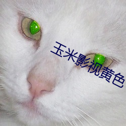 玉米影視黃色