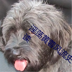 淫荡黄(huáng)蓉风流史1 章节章目(mù)录 第 1 1部分阅读
